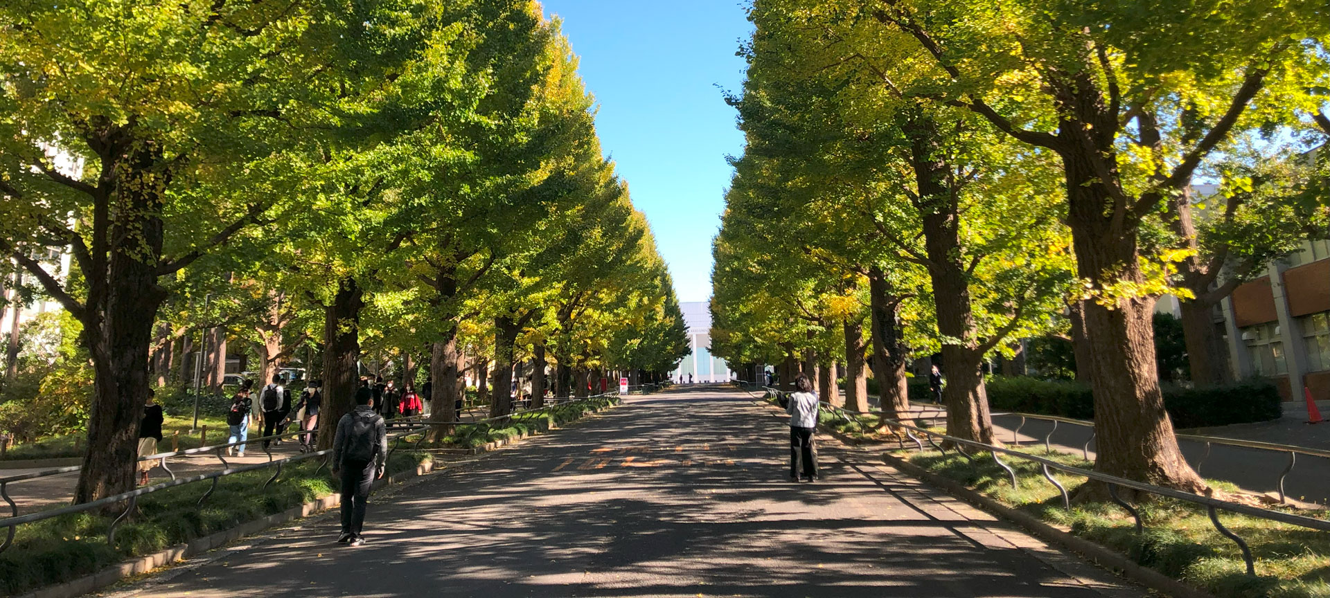 Hiyoshi late summer